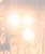 Concerts